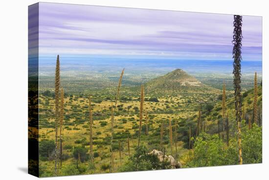 USA, Texas, Guadalupe Mountains NP. Landscape with Small Mountain-Don Paulson-Premier Image Canvas