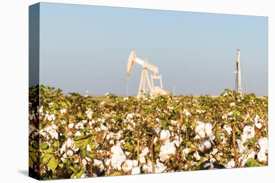 USA, Texas. Martin County, Pumpjack on cotton field-Alison Jones-Premier Image Canvas