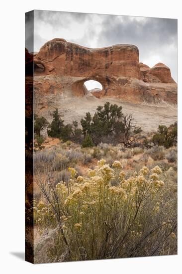 USA, Utah, Arches National Park. Scenic of Tunnel Arch-Cathy & Gordon Illg-Premier Image Canvas