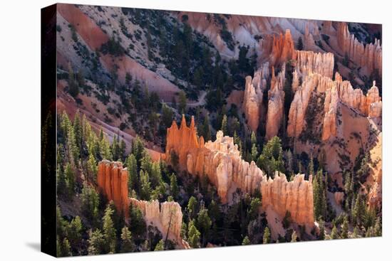 USA, Utah, Bryce Canyon, Amphitheatre-Catharina Lux-Premier Image Canvas