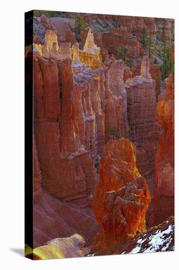 USA, Utah, Bryce Canyon National Park. Close-up of Hoodoos-Jay O'brien-Premier Image Canvas