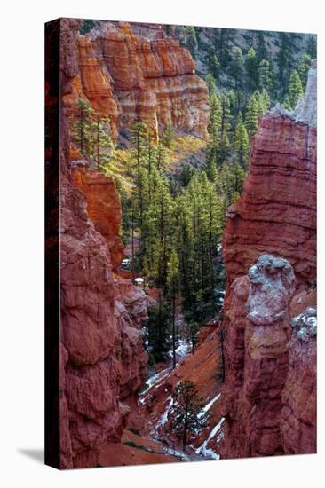 USA, Utah, Bryce Canyon National Park. Close-up of Hoodoos-Jay O'brien-Premier Image Canvas