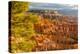 USA, Utah, Bryce Canyon National Park. Overview of canyon formations.-Jaynes Gallery-Premier Image Canvas