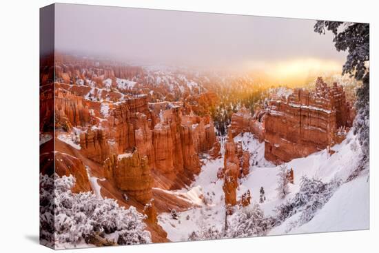 USA, Utah, Bryce Canyon National Park. Panoramic View of Sunrise Peeking Through the Fog and Cloud-Ann Collins-Premier Image Canvas