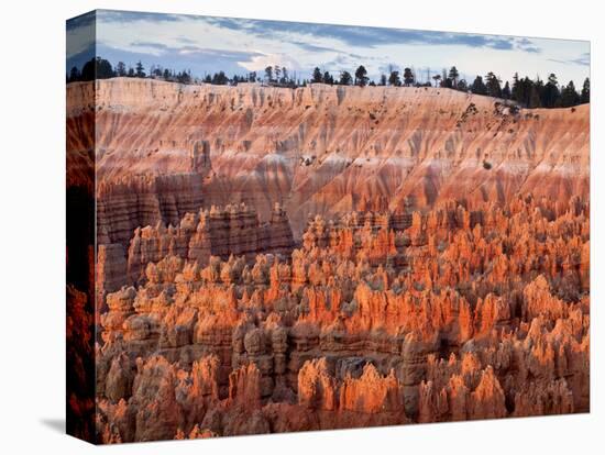 USA, Utah, Bryce Canyon National Park. Sunrise Touches Hoodoos at Sunset Point-Ann Collins-Premier Image Canvas