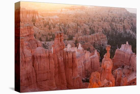 USA, Utah, Bryce Canyon, Thor's Hammer, Sunrise-Catharina Lux-Premier Image Canvas