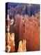 USA, Utah, Bryce Canyon-Hans Peter Merten-Premier Image Canvas