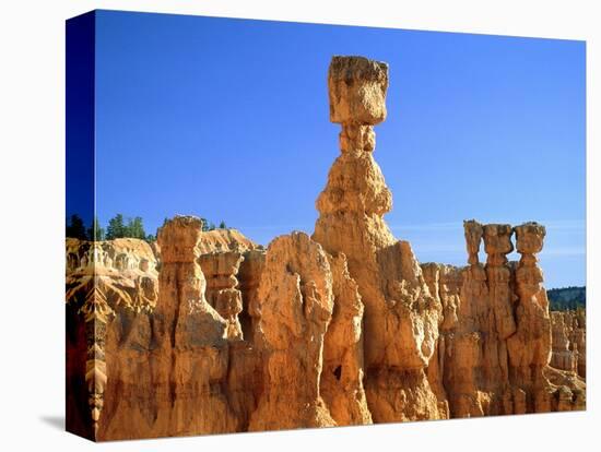 USA, Utah, Bryce Canyon-Rainer Hackenberg-Premier Image Canvas