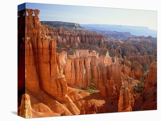 USA, Utah, Bryce Canyon-Rainer Hackenberg-Premier Image Canvas