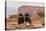 USA, Utah, Canyonlands National Park. Pair of Ravens on Log-Cathy & Gordon Illg-Premier Image Canvas