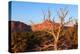 USA, Utah, Capitol Reef National Park, Parched Tree-Catharina Lux-Premier Image Canvas