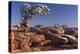 USA, Utah, Dead Horse Point, Canyonlands National Park, Lone Pine-John Ford-Premier Image Canvas