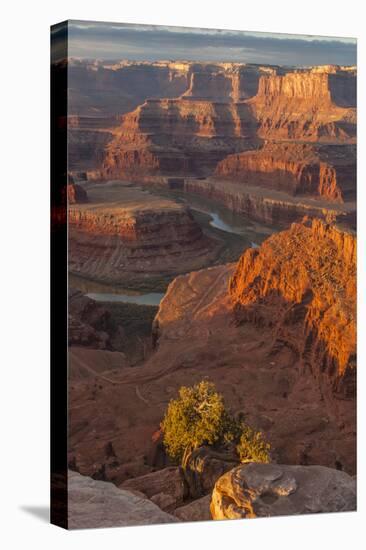 USA, Utah, Dead Horse Point State Park. Sunrise on Colorado River-Cathy & Gordon Illg-Premier Image Canvas