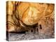 USA, Utah, Fallen Roof Ruin Cliff Dwelling-Mark Sykes-Premier Image Canvas