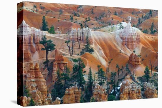 USA, Utah. Hoodoo Formations in Bryce Canyon National Park-Jaynes Gallery-Premier Image Canvas