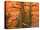 USA, Utah, Red Canyon. Rock formation and dead ponderosa pine tree.-Jaynes Gallery-Premier Image Canvas