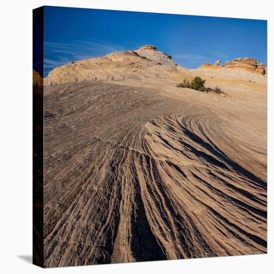 USA, Utah. Sandstone formation and cross-bedded layers, Canyonlands NP, Island in the Sky.-Judith Zimmerman-Premier Image Canvas