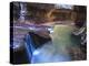 USA, Utah, Zion Canyon National Park, the Subway-Michele Falzone-Premier Image Canvas