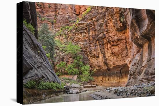 USA, Utah, Zion Narrows-John Ford-Premier Image Canvas