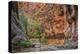 USA, Utah, Zion Narrows-John Ford-Premier Image Canvas