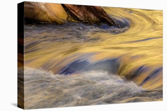 USA, Utah, Zion National Park. Autumn Reflections in Stream-Jay O'brien-Premier Image Canvas