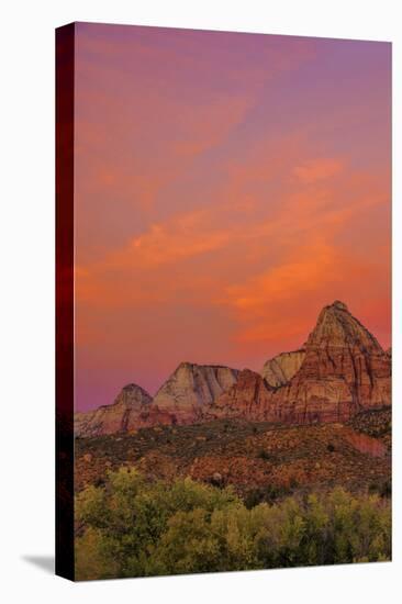USA, Utah, Zion National Park. Mountain Landscape-Jay O'brien-Premier Image Canvas