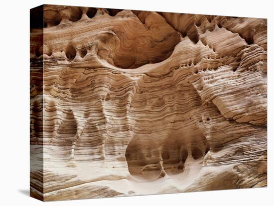 USA, Utah, Zion National Park, Sandstone Formation-Christopher Talbot Frank-Premier Image Canvas