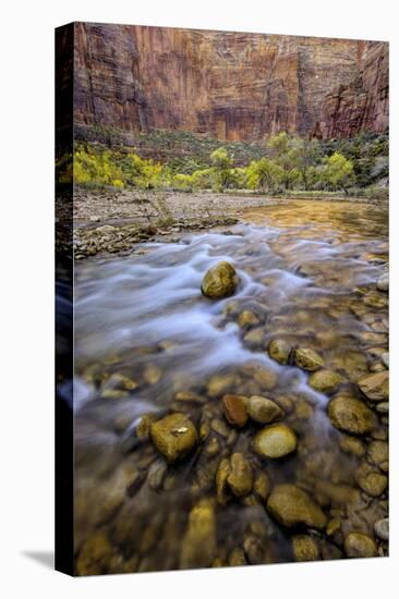 USA, Utah, Zion National Park. Stream in Autumn Scenic-Jay O'brien-Premier Image Canvas