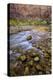 USA, Utah, Zion National Park. Stream in Autumn Scenic-Jay O'brien-Premier Image Canvas