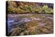 USA, Utah, Zion National Park. Stream in Autumn Scenic-Jay O'brien-Premier Image Canvas