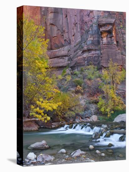 USA, Utah, Zion National Park. the Narrows with Cottonwood Trees in Autumn-Jaynes Gallery-Premier Image Canvas