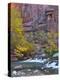 USA, Utah, Zion National Park. the Narrows with Cottonwood Trees in Autumn-Jaynes Gallery-Premier Image Canvas