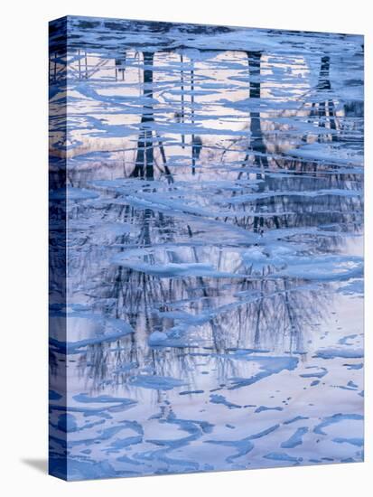 Usa, Vermont, Burlington. Ice and tree reflections in frozen Lake Champlain.-Merrill Images-Premier Image Canvas