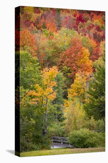 USA, Vermont, Fall foliage in Green Mountains at Bread Loaf, owned by Middlebury College.-Alison Jones-Premier Image Canvas