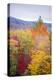 USA, Vermont, Fall foliage in Green Mountains at Bread Loaf, owned by Middlebury College.-Alison Jones-Premier Image Canvas