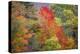 USA, Vermont, Fall foliage in Green Mountains at Bread Loaf, owned by Middlebury College.-Alison Jones-Premier Image Canvas