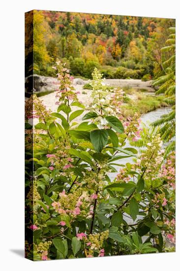 USA, Vermont, Fall foliage in Mad River Valley, Waitsfield-Alison Jones-Premier Image Canvas