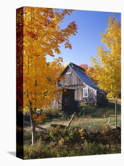 USA, Vermont, House, Old, Maple Trees, Autumn-Thonig-Premier Image Canvas