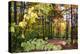 USA, Vermont, Morrisville, Jopson Lane. Fall foliage-Alison Jones-Premier Image Canvas