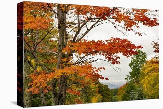 USA, Vermont, New England, Stowe Mt. Mansfield parking lot view-Alison Jones-Premier Image Canvas