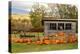 USA, Vermont, Stowe, West Hill Rd, pumpkin field-Alison Jones-Premier Image Canvas