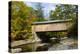 USA, Vermont, Waterville. Montgomery Covered Bridge with Fall Foliage-Bill Bachmann-Premier Image Canvas