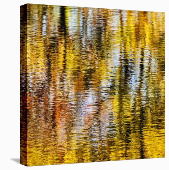 USA, Virginia, Blue Ridge Parkway. Abstract autumn reflections in Rakes Mill Pond-Ann Collins-Premier Image Canvas