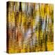USA, Virginia, Blue Ridge Parkway. Abstract autumn reflections in Rakes Mill Pond-Ann Collins-Premier Image Canvas