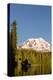 USA, WA. Woman kayaker paddles on calm, scenic Takhlakh Lake with Mt. Adams in the background.-Gary Luhm-Premier Image Canvas