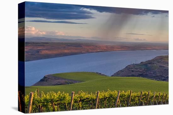 USA, Washington, Columbia Valley. Rain Falls on the Benches Vineyard-Janis Miglavs-Premier Image Canvas