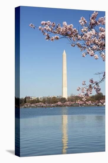 USA, Washington D.C. The Washington Monument framed by cherry blossoms-Charles Sleicher-Premier Image Canvas