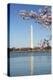 USA, Washington D.C. The Washington Monument framed by cherry blossoms-Charles Sleicher-Premier Image Canvas