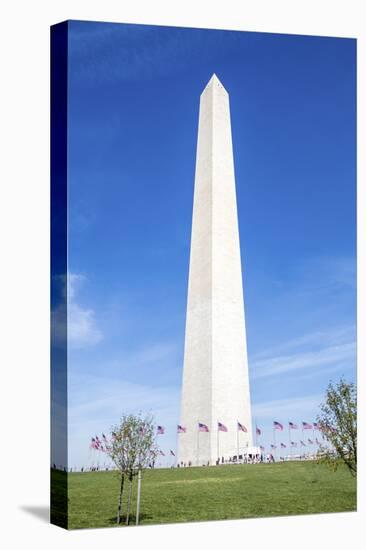 USA, Washington DC, Flags waving around the Washington Monument-Hollice Looney-Premier Image Canvas