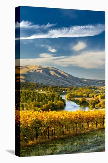 USA, Washington. Harvest Season for Red Mountain Vineyards-Richard Duval-Premier Image Canvas